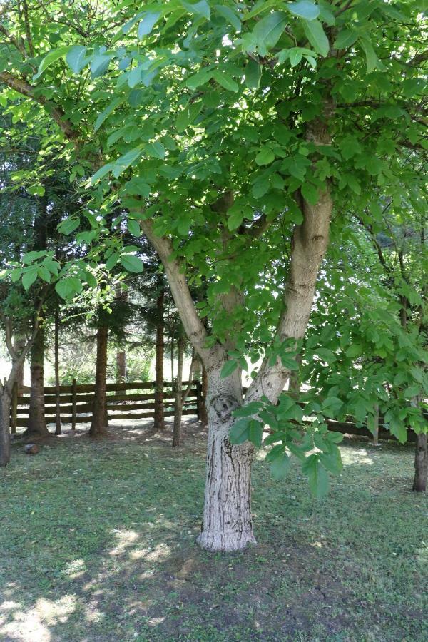 Holiday Home "Iris" Near Plitvice Lakes Rudanovac Exterior foto