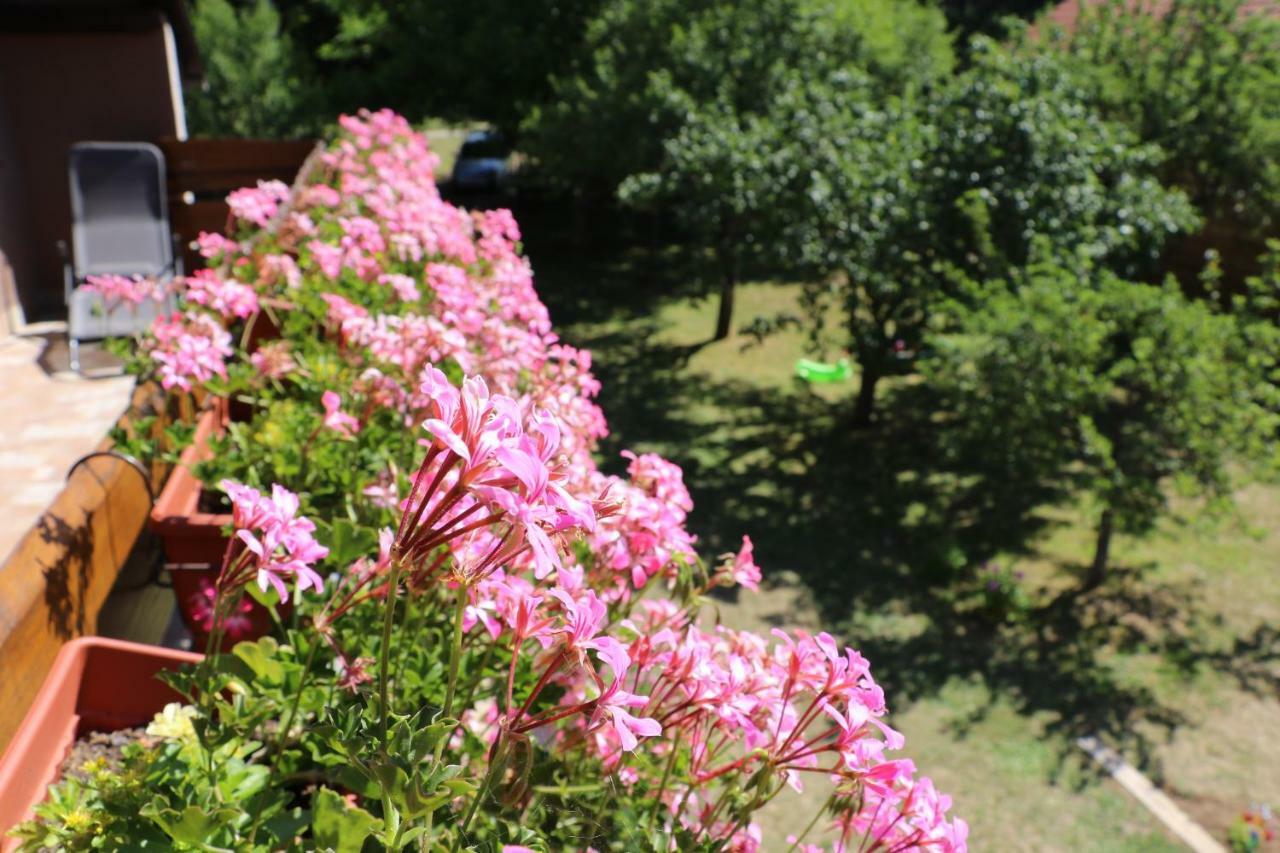 Holiday Home "Iris" Near Plitvice Lakes Rudanovac Exterior foto